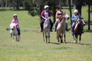 Trail Riding